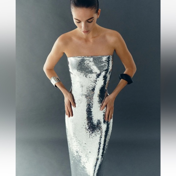 Zara Sequin appliqué Strapless Midi Dress Organza Tulle hem Silver Size XS NWT - Picture 8 of 16